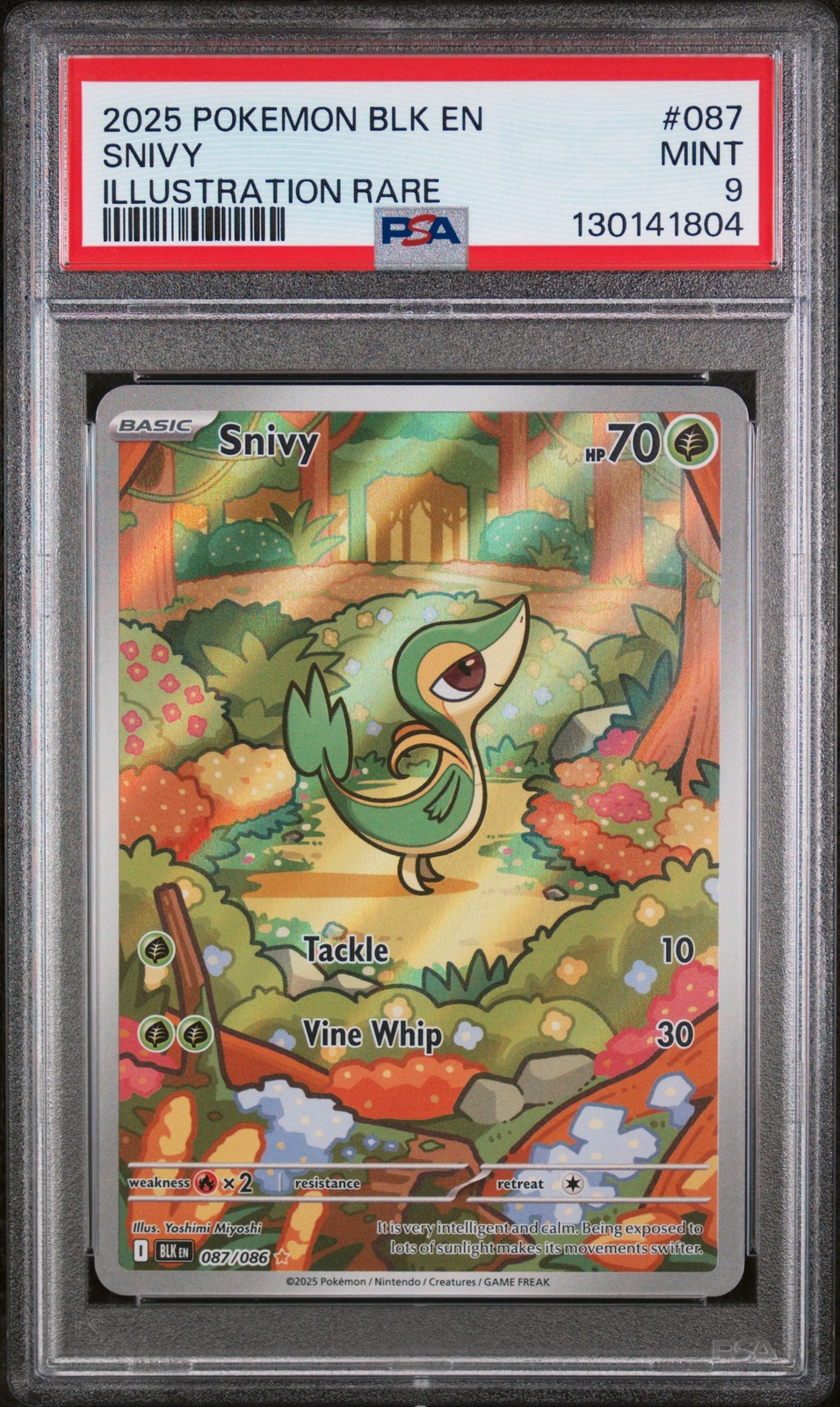 2025 POKEMON BLK EN-BLACK BOLT ILLUSTRATION RARE #087 SNIVY PSA 9 - Image 1