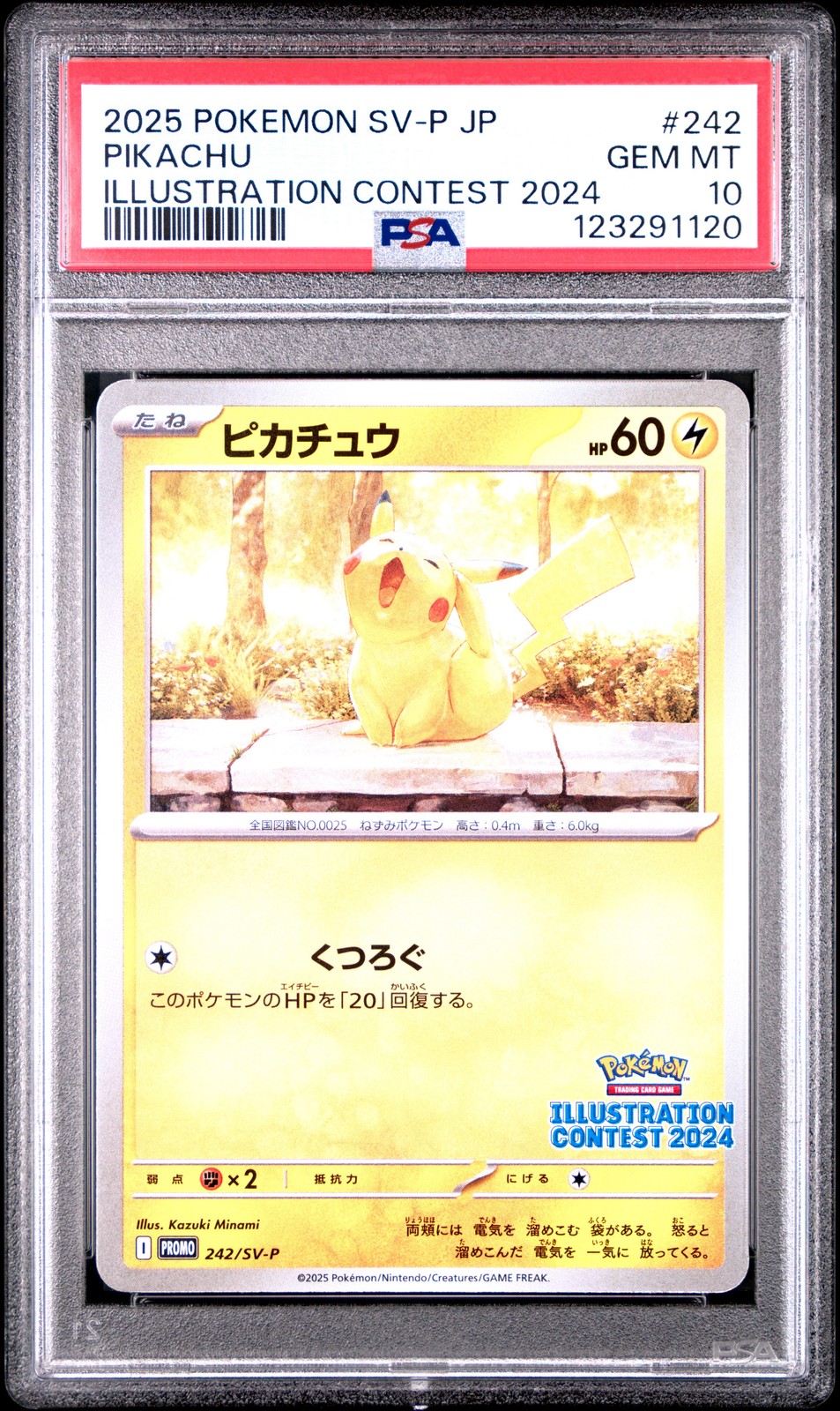 2025 POKEMON JPN SV-P PROMO ILLUSTRATION CONTEST 2024 #242 PIKACHU PSA 10 - Image 1