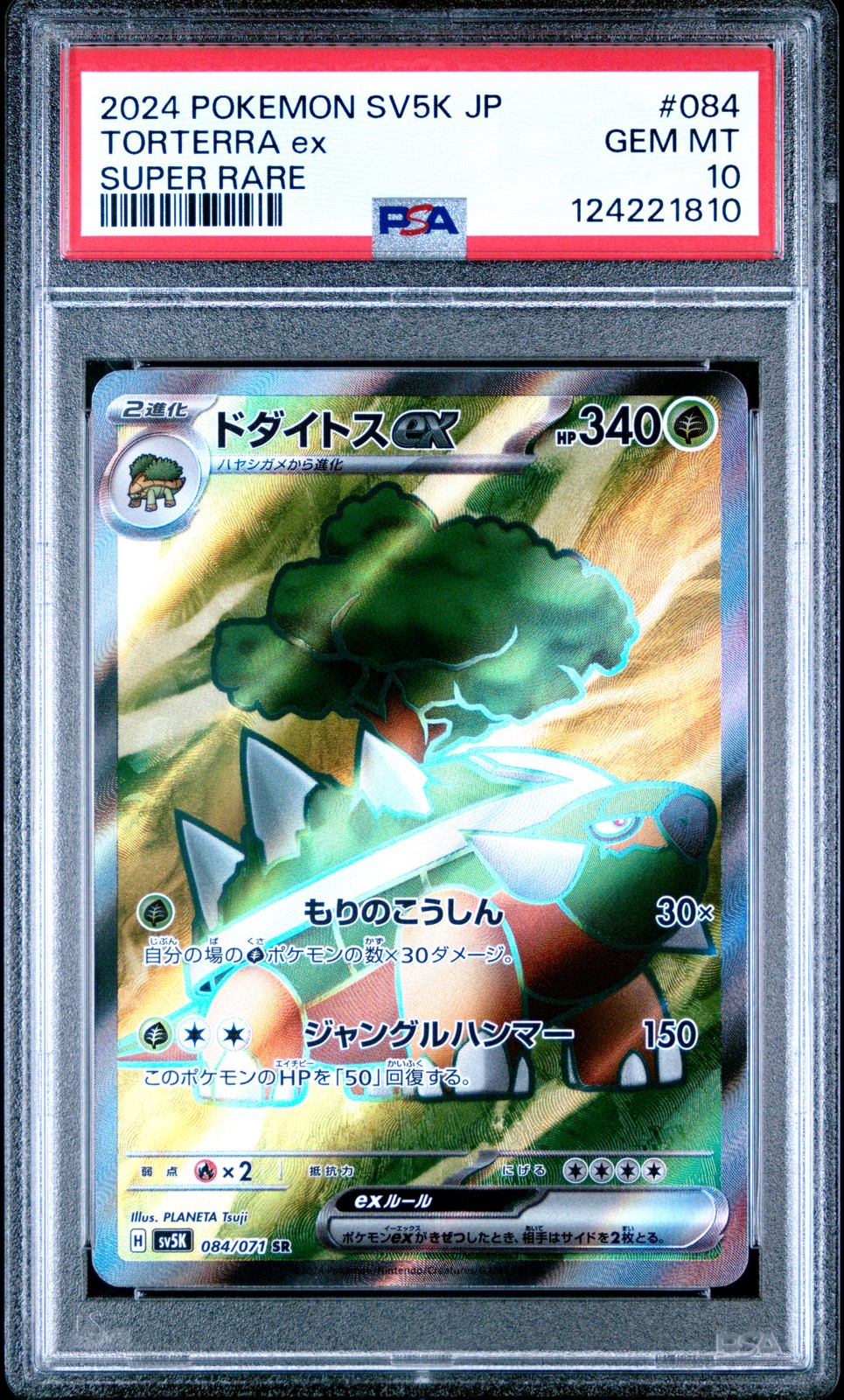 2024 POKEMON JPN SV5K-WILD FORCE SUPER RARE #084 TORTERRA EX PSA 10