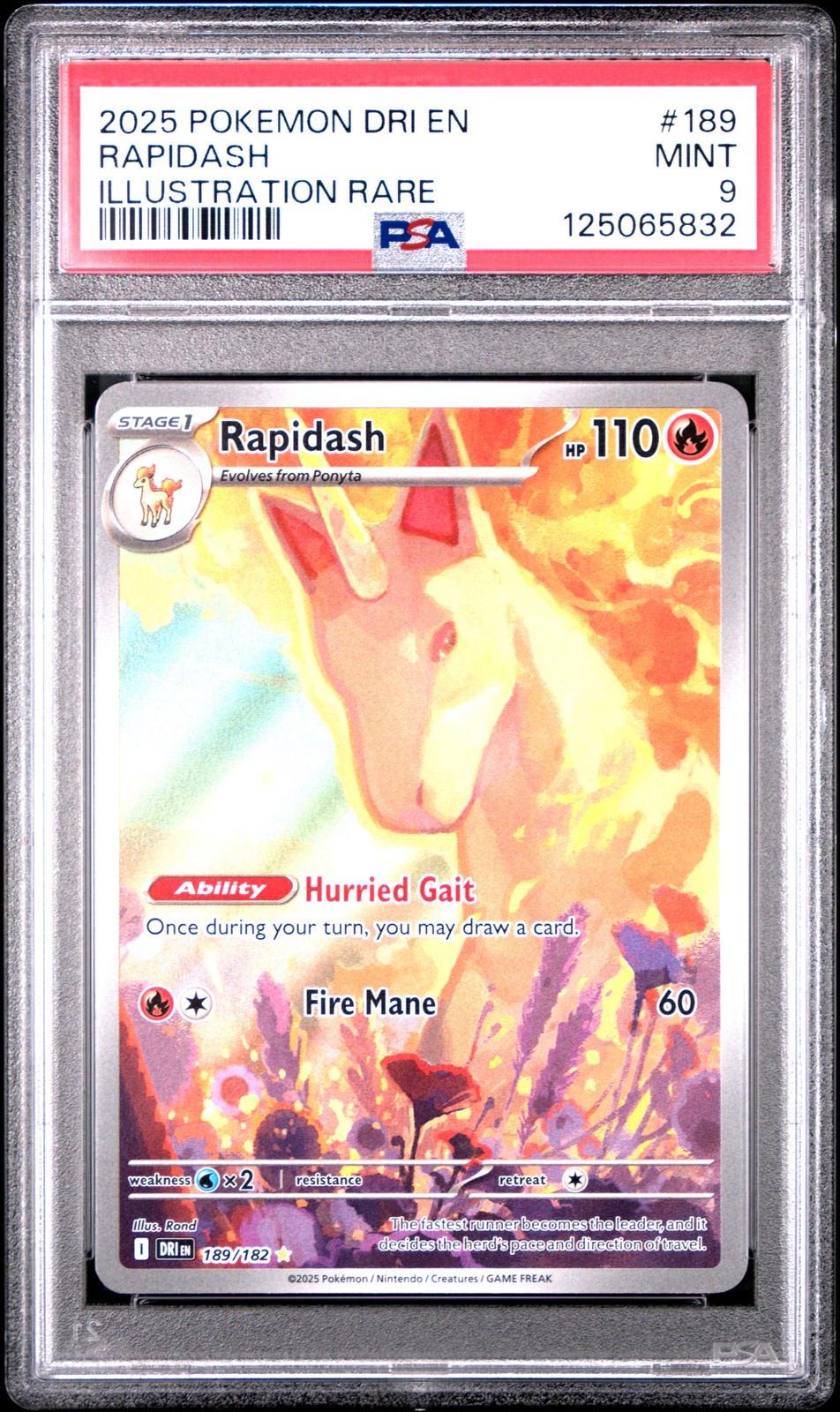 2025 POKEMON DRI EN-DESTINED RIVALS ILLUSTRATION RARE #189 RAPIDASH PSA 9 - Image 1