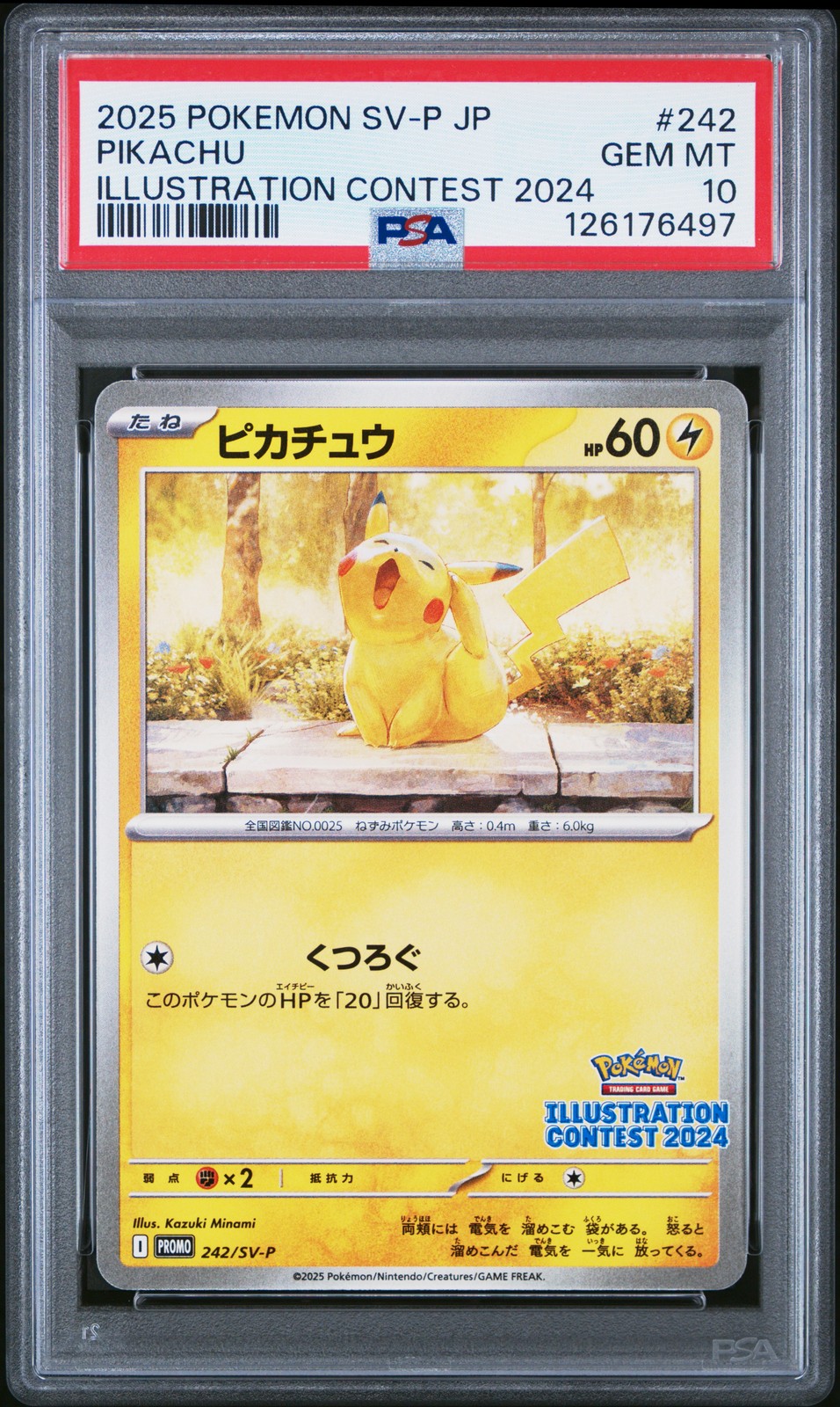2025 POKEMON JPN SV-P PROMO ILLUSTRATION CONTEST 2024 #242 PIKACHU PSA 10 - Image 1