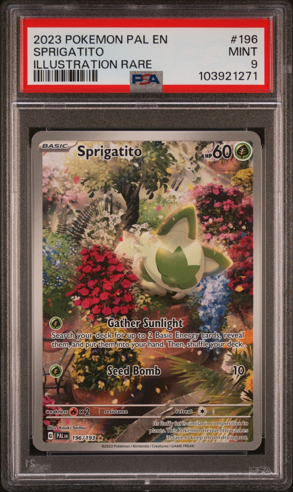 2023 POKEMON PAL EN-PALDEA EVOLVED ILLUSTRATION RARE #196 SPRIGATITO PSA 9