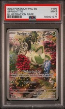 2023 POKEMON PAL EN-PALDEA EVOLVED ILLUSTRATION RARE #196 SPRIGATITO PSA 9 - Image 2