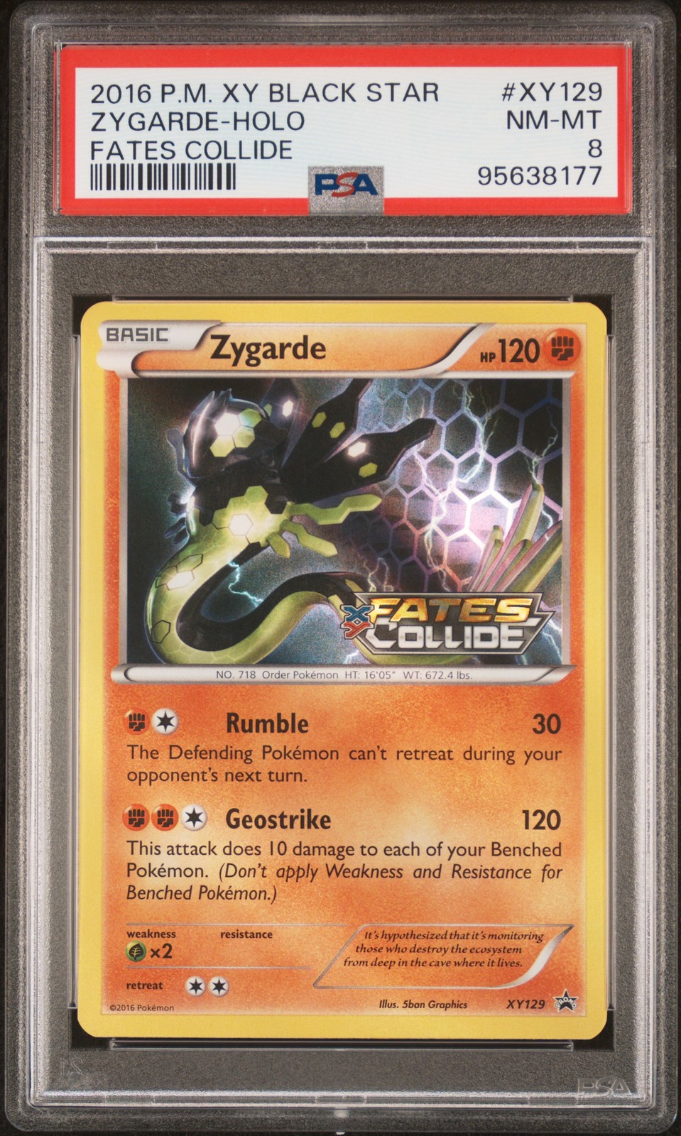 2016 POKEMON XY BLACK STAR PROMO FATES COLLIDE #XY129 ZYGARDE-HOLO PSA 8